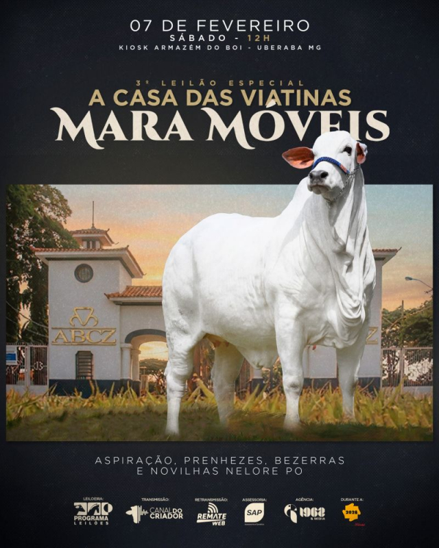 3° Leilão Especial A Casa das Viatinas Mara Móveis