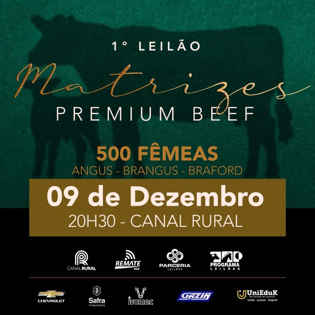 1° Matrizes Premium Beef