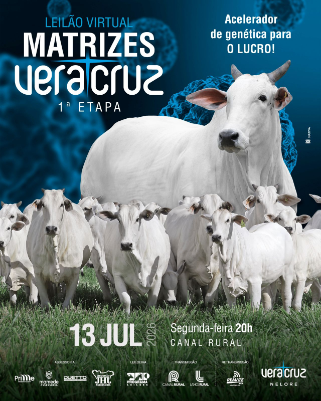 Leilão Virtual Matrizes Veracruz - 1ª Etapa