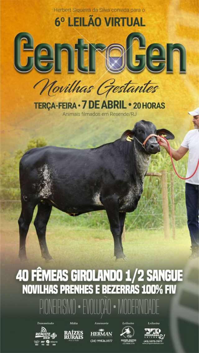 6º Leilão Virtual Girolando Centrogen - Novilhas Gestantes