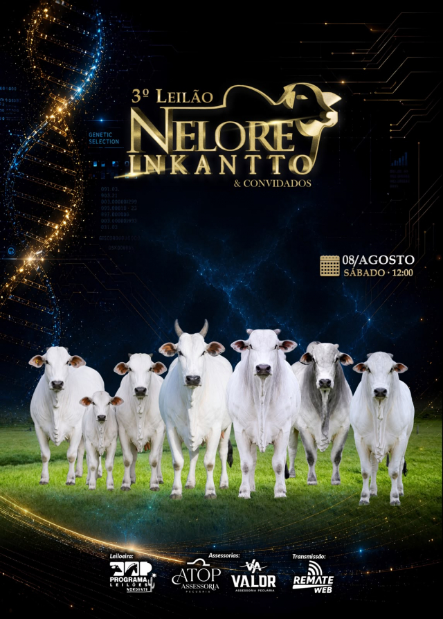 3º Leilão Nelore Inkantto & Convidados