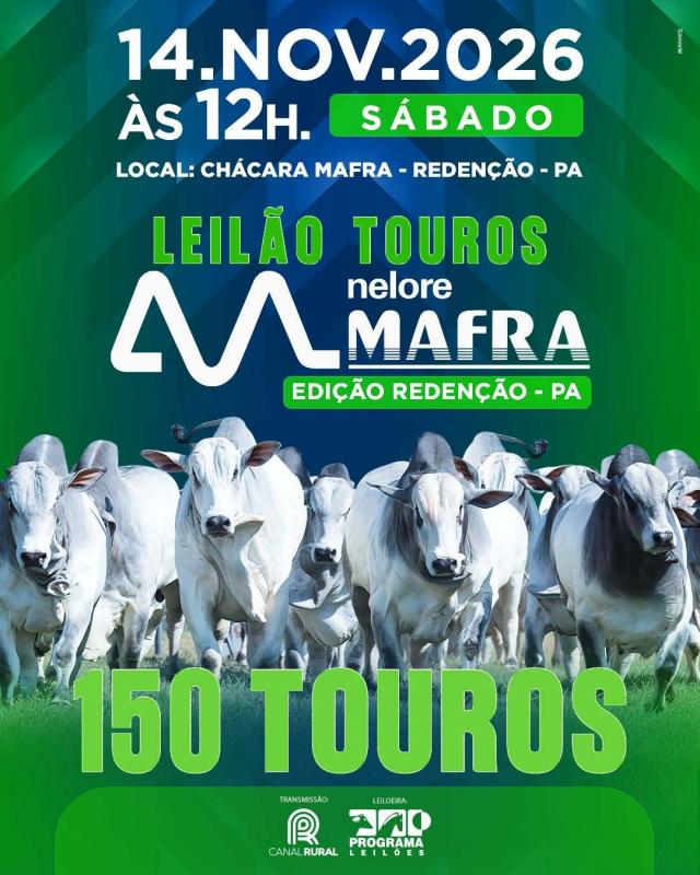 Leilão Touros Nelore Mafra - Redenção PA