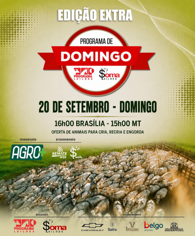 164° Programa de Domingo - Edição Extra