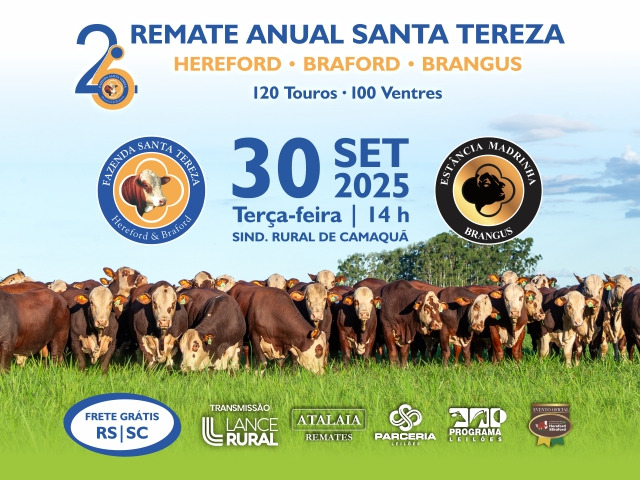 2º Remate Anual Santa Tereza - Hereford, Braford, Brangus