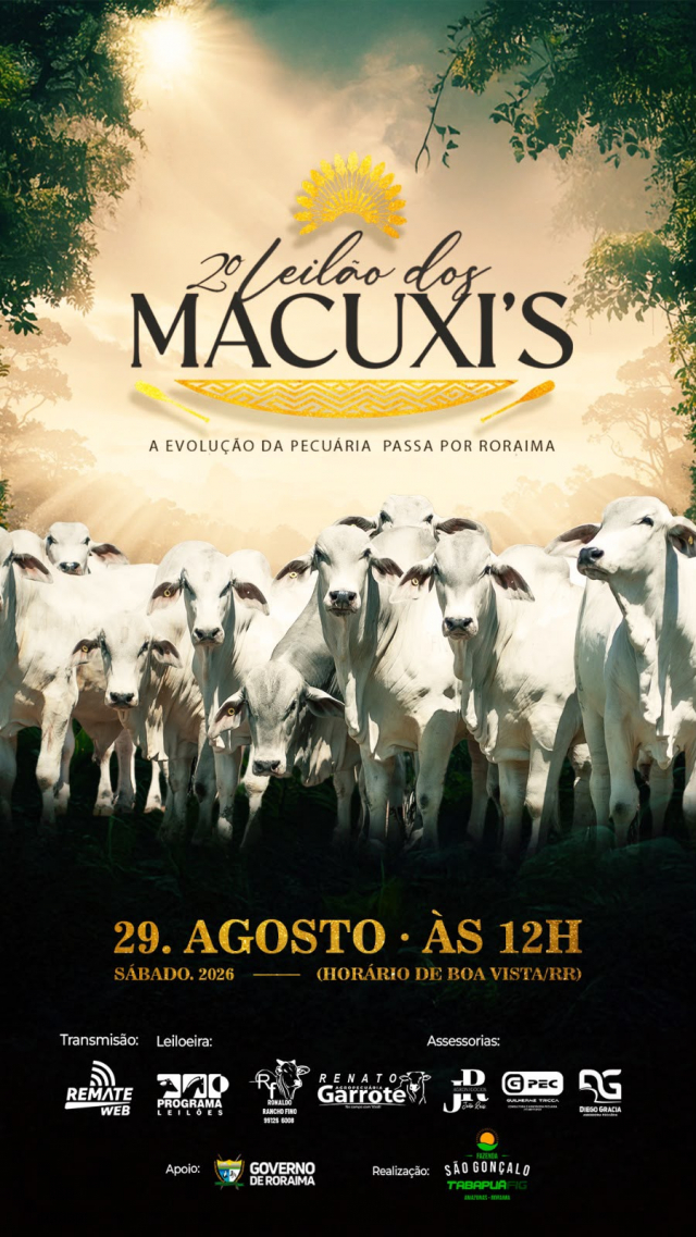 2º Leilão dos Macuxi's