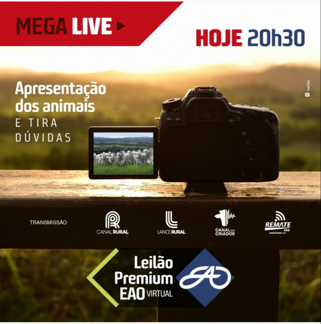 Mega Live - Leilão Premium EAO Virtual