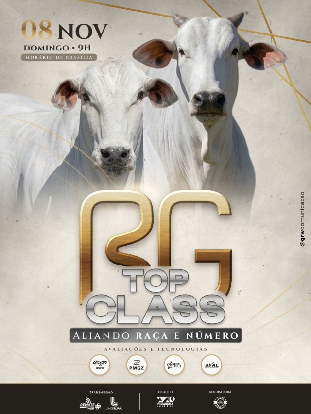Leilão de Fêmeas RG Top Class