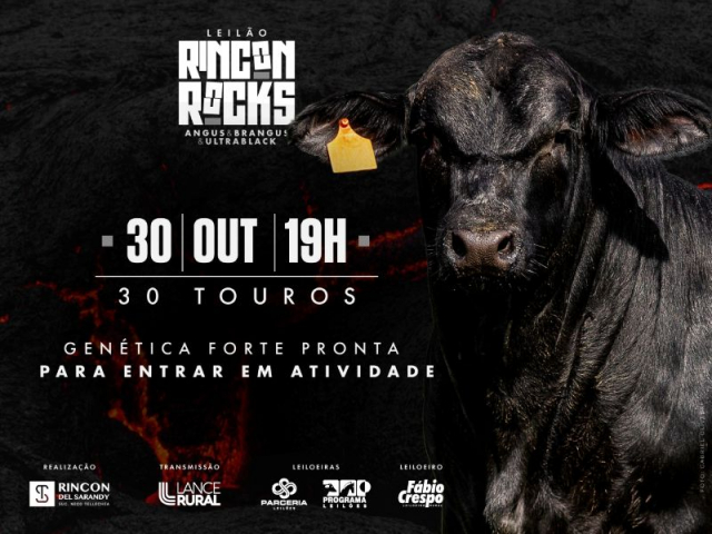 Leilão Virtual Rincon Rocks