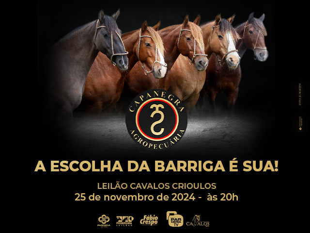 Leilão Virtual Capanegra Cavalos Crioulos