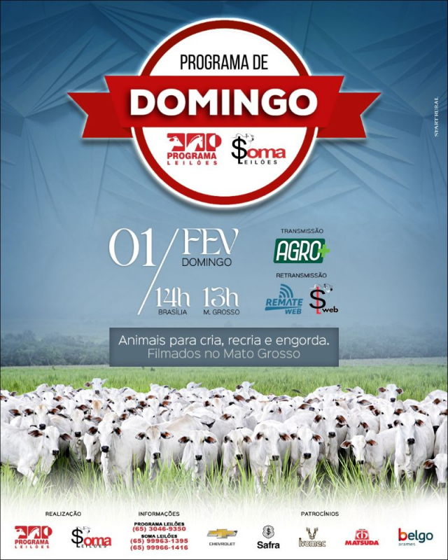 140º Programa de Domingo - Programa e Soma Leilões