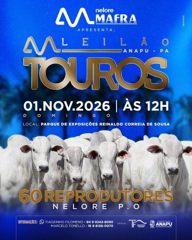 Leilão Touros Mafra Anapu