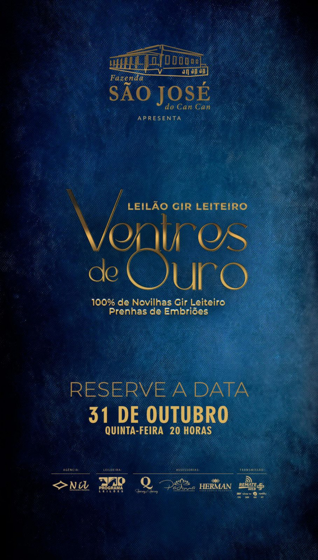 Leilão Virtual Gir Leiteiro Ventres de Ouro