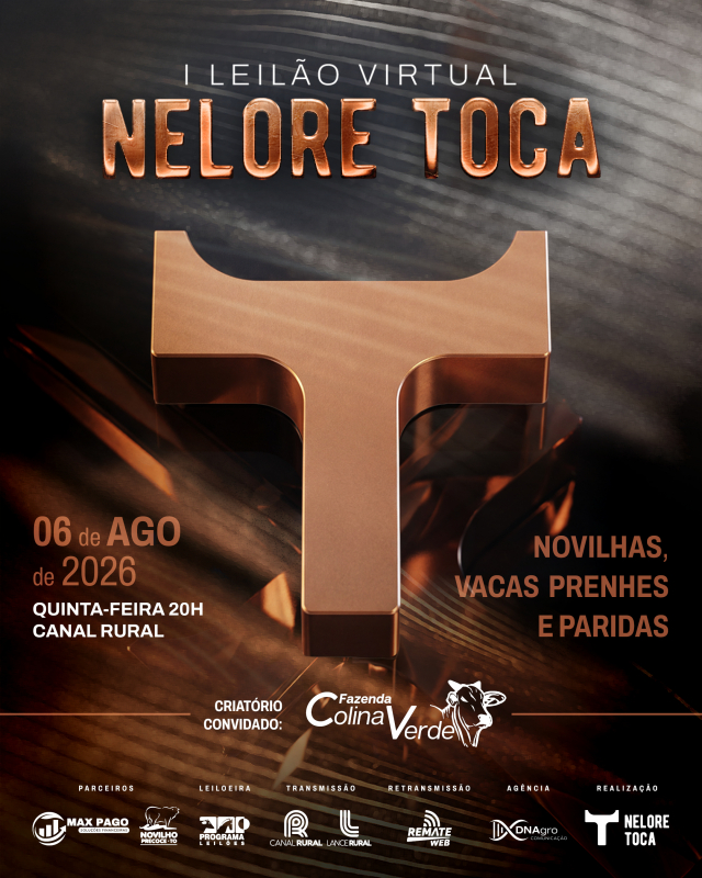 1° Leilão Virtual Nelore Toca