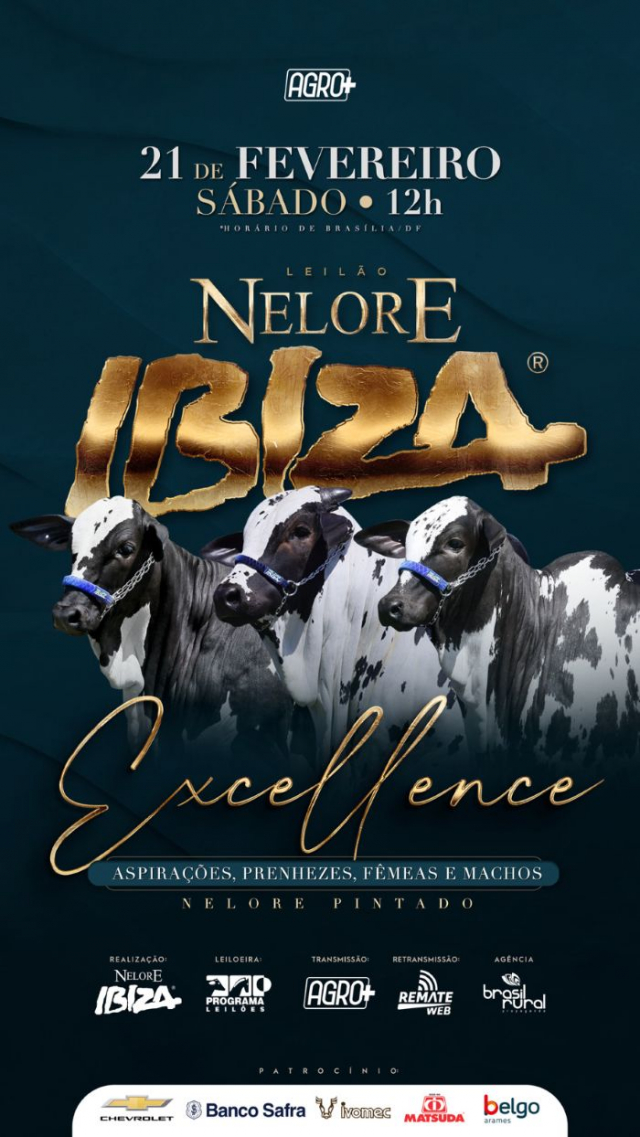 Leilão Virtual Nelore Pintado Ibiza - Excellence