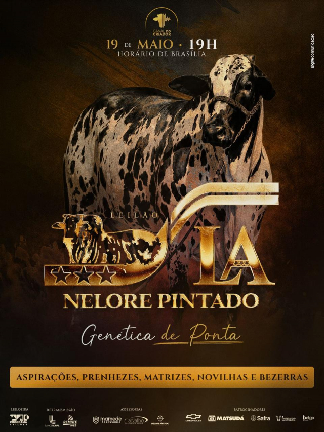 Leilão Virtual Nelore Pintado LA