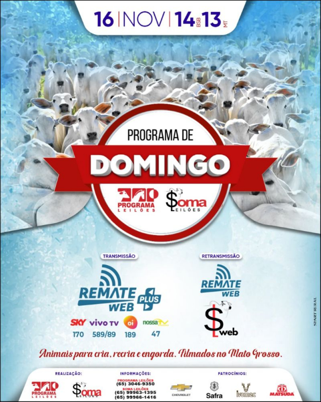 134º Programa de Domingo - Programa e Soma Leilões