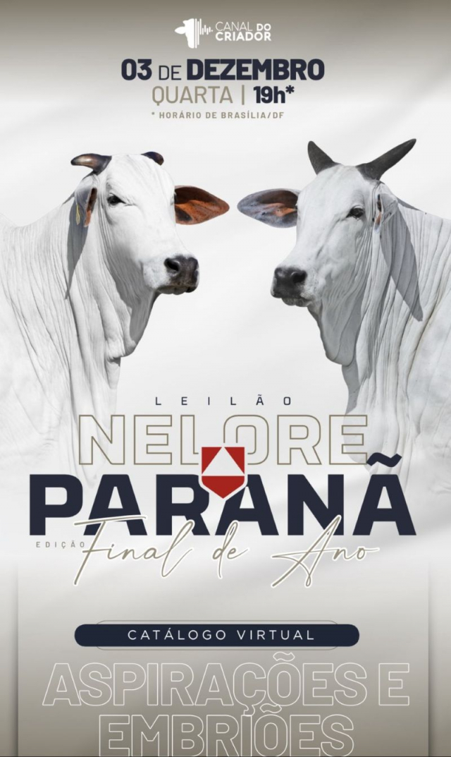 Leilão Virtual Nelore Paranã - Especial Final de Ano - Aspirações e Embriões