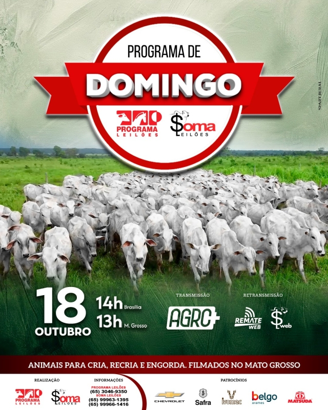 167° Programa de Domingo - Programa e Soma Leilões
