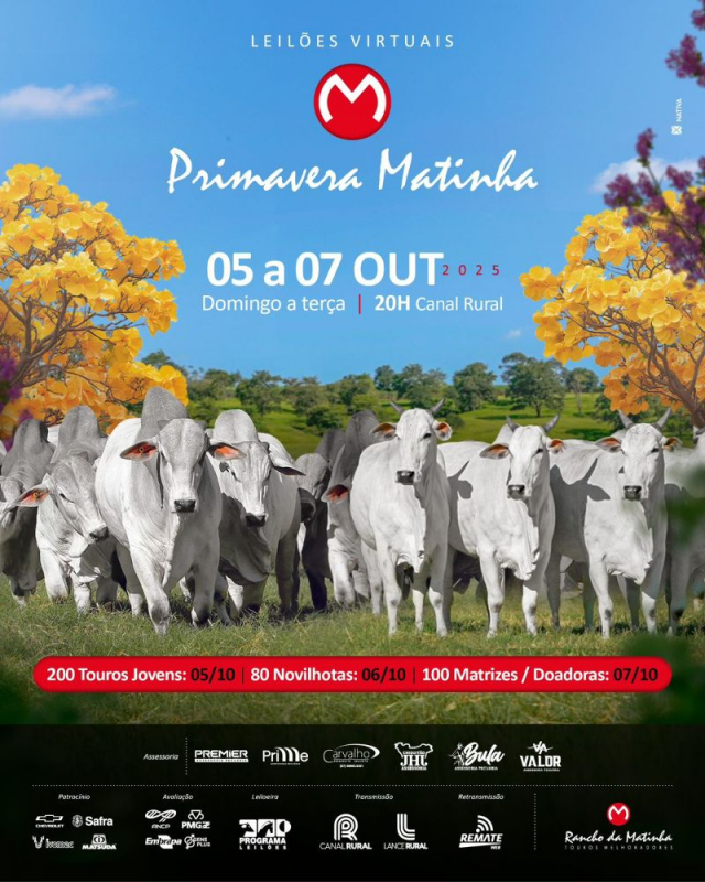 Leilão Virtual Primavera Matinha - Matrizes e Doadoras