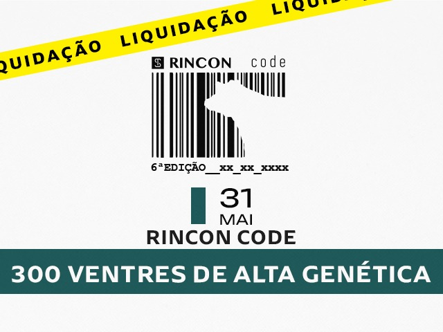 Leilão Virtual Rincon Code - 6ª Edição