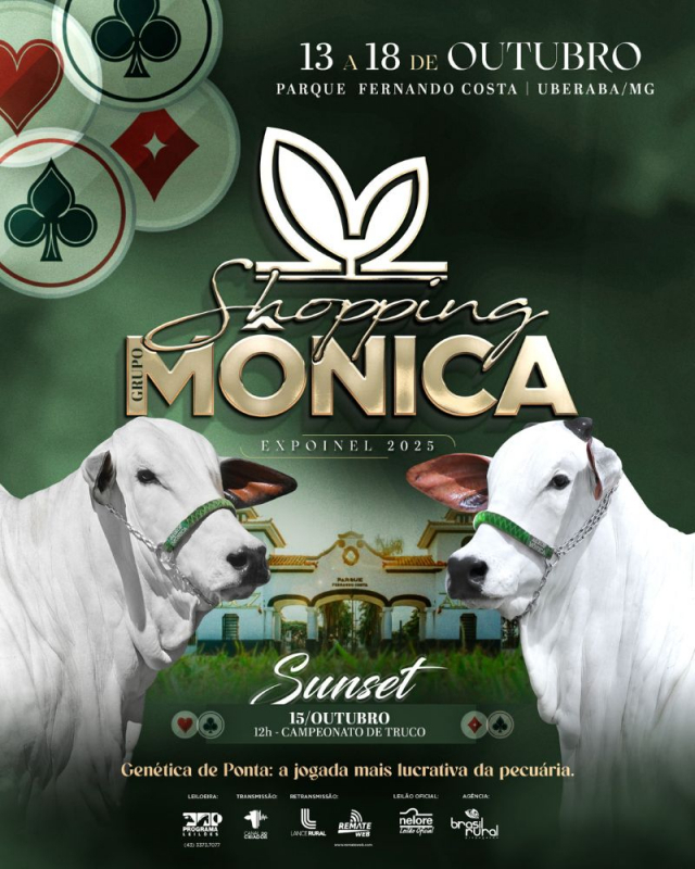 Shopping Grupo Mônica - Expoinel 2025