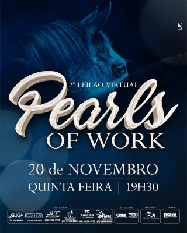 2º Leilão Virtual Pearls Of Work