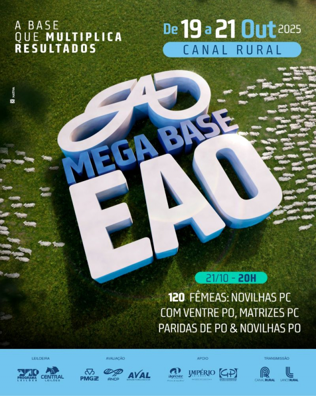 Leilão Mega Base EAO - Fêmeas PC e PO