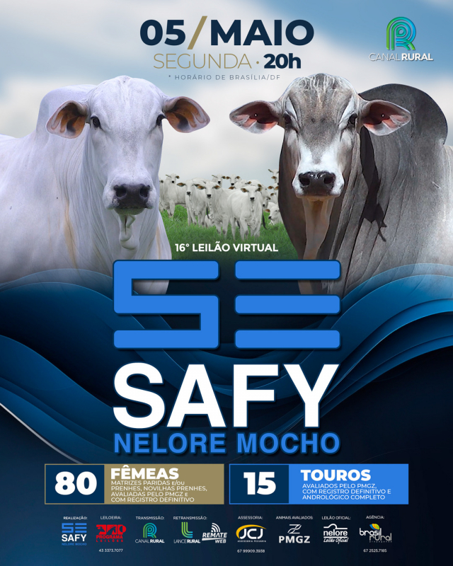 16° Leilão Virtual Safy