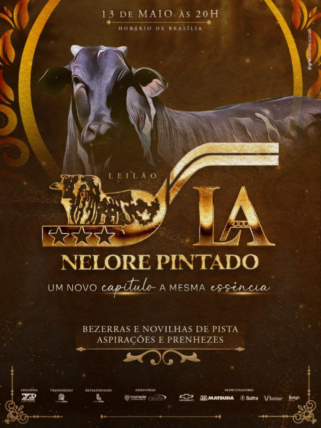 Leilão Nelore Pintado LA