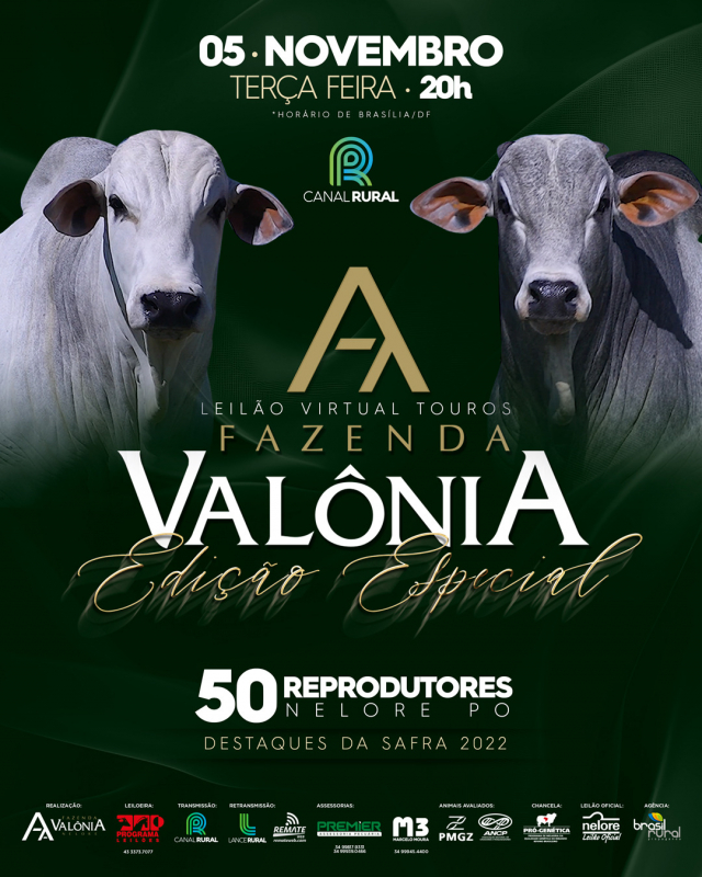 Leilão Virtual Touros Fazenda Valonia - Edição Especial