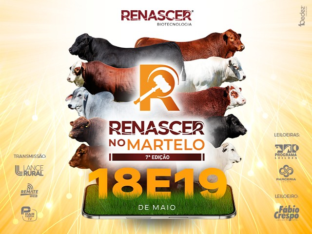 Leilão Virtual Renascer no Martelo 7ª Edição