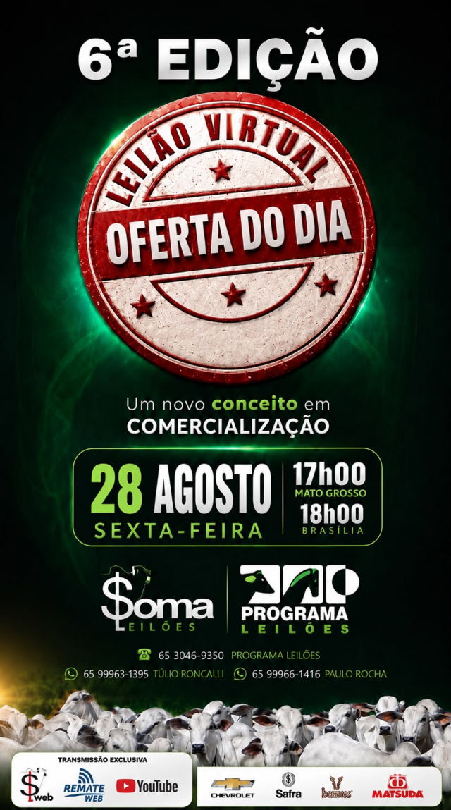 6ª Edição Leilão Virtual Oferta do Dia