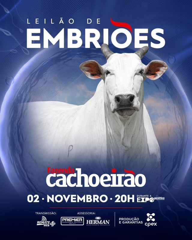 Leilão de Embriões Fazenda Cachoeirão