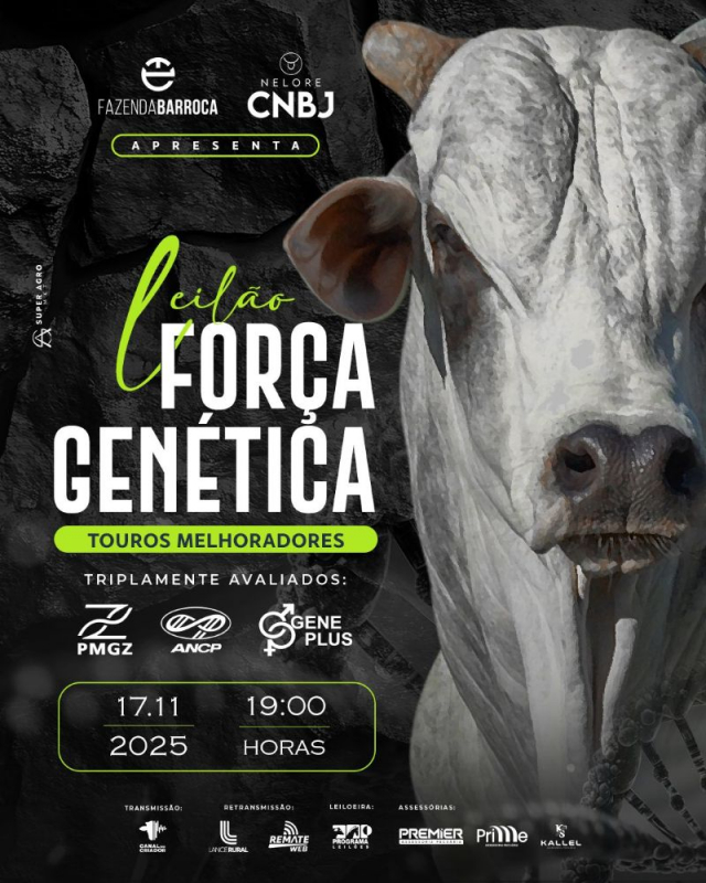 Leilão Virtual Força Genética - Touros Melhoradores