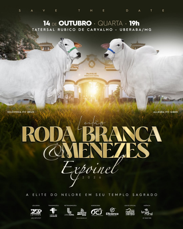 Leilão Roda Branca & Menezes Expoinel 2026