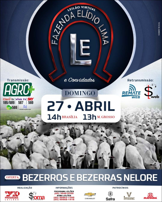 Leilão Virtual Gado de Corte Elidio Lima