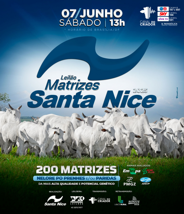 Leilão Virtual Matrizes Santa Nice