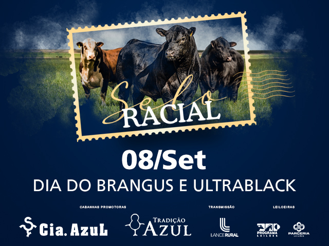 Leilão Selo Racial - Brangus e Ultrablack