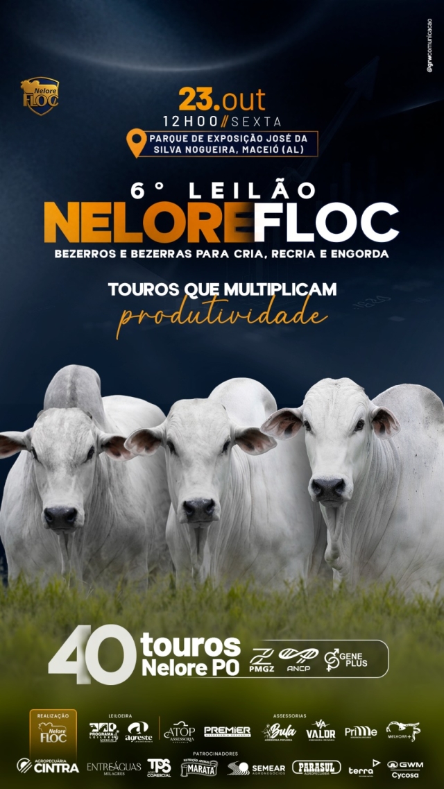 6º Leilão Nelore Floc