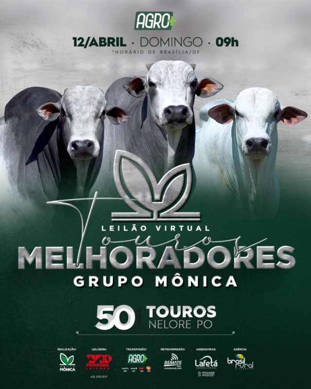 Leilão Virtual Touros Melhoradores Grupo Mônica