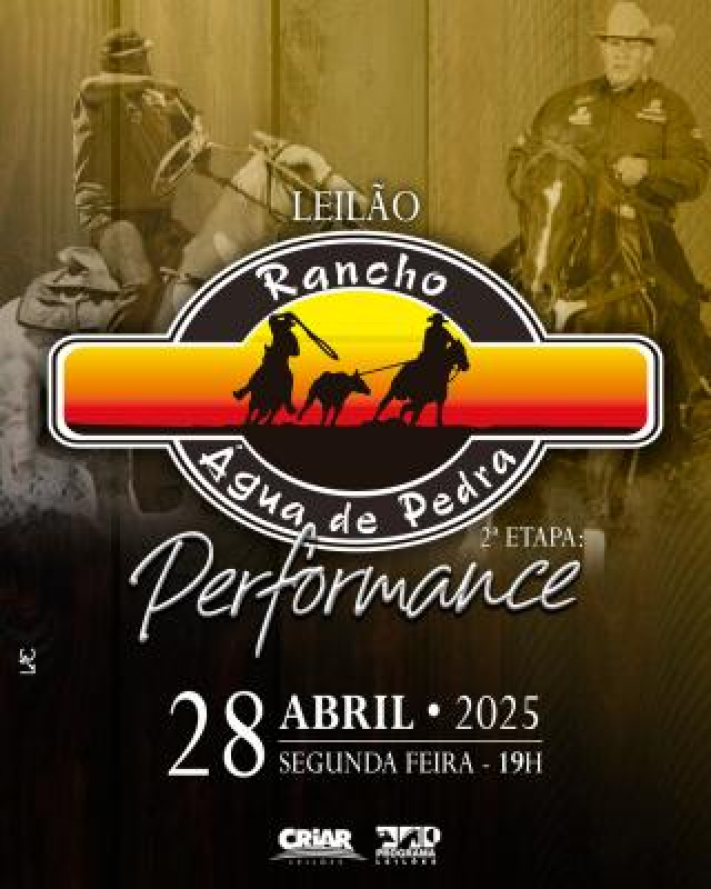 Leilão Rancho Água de Pedra - Performance