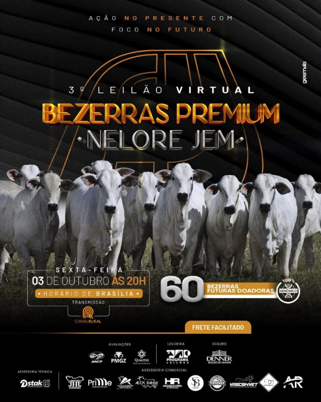 3º Leilão Virtual Bezerras Premium Nelore JEM - Futuras Doadoras