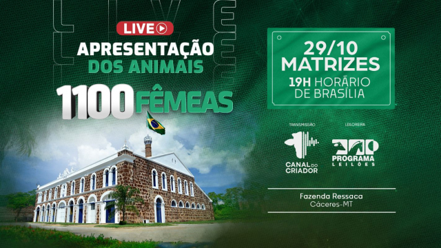 LIVE - Apresentação dos animais Fazenda Ressaca - Matrizes