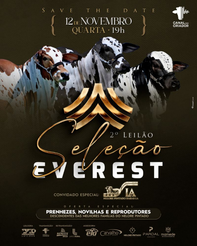 2º Leilão Virtual Seleção Everest