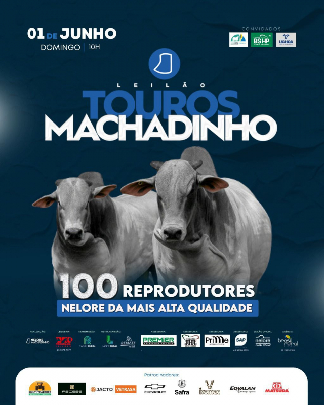 Leilão Touros Machadinho 2025