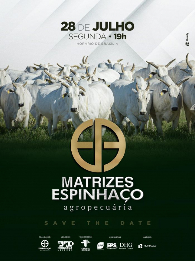 Leilão Virtual Matrizes Espinhaço Agropecuária