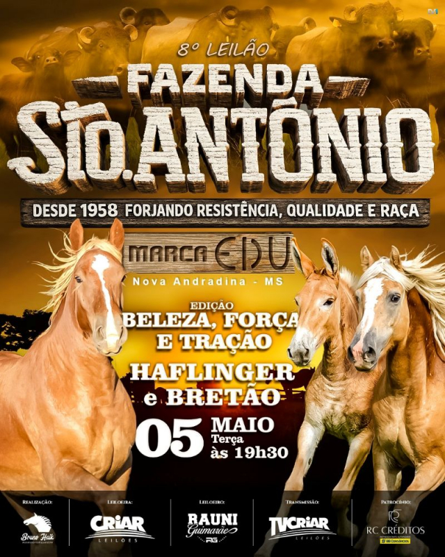 8º Leilão Fazenda Santo Antônio, Marca Edu - Haflinger e Bretão
