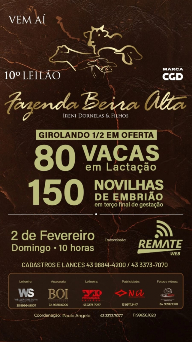 10º Leilão Fazenda Beira Alta