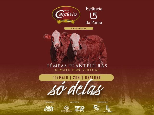 Leilão Virtual Só Delas - Fêmeas Planteleiras