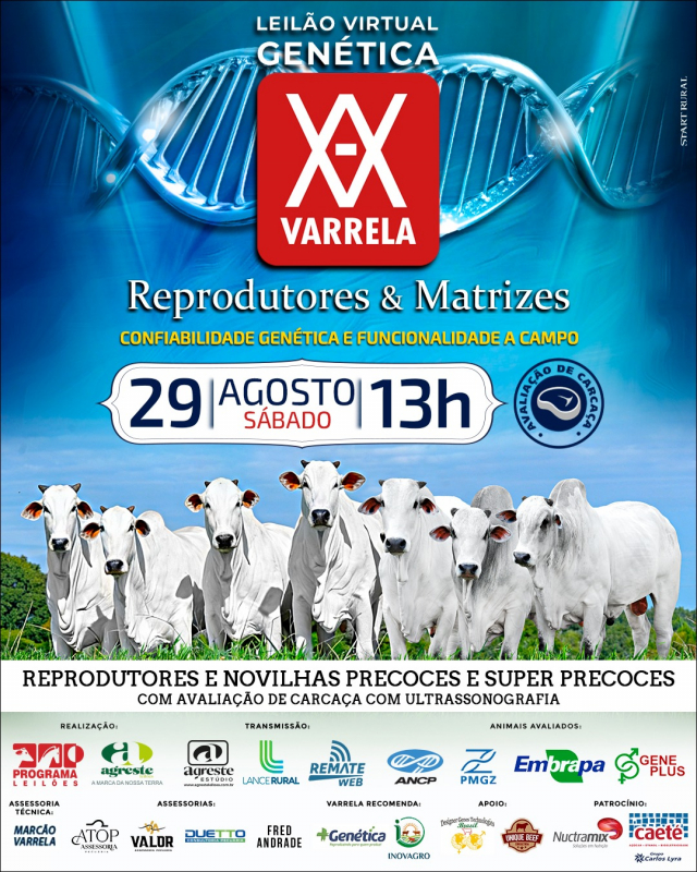 Leilão Virtual Genética Varrela - Reprodutores e Matrizes